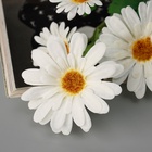 Цветы искусственные «Космея леди галант», 57×8 см, белые - Фото 5