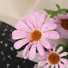 Цветы искусственные "Космея леди галант" 57х8 см, сиреневый - фото 809122600