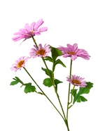 Цветы искусственные "Космея леди галант" 57х8 см, сиреневый - фото 809158976