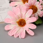 Цветы искусственные "Космея леди галант" 57х8 см, розовый - фото 809122601