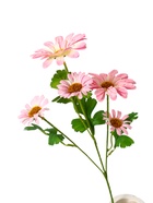 Цветы искусственные «Космея леди галант», 57×8 см, розовые - Фото 6