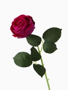 Цветы искусственные "Роза леди каскад, с шипами" 57х8 см, фиолетовый - фото 809177934