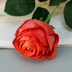 Цветы искусственные "Роза леди каскад, с шипами" 57х8 см, оранжевый - фото 809177935