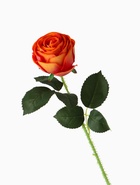 Цветы искусственные "Роза леди каскад, с шипами" 57х8 см, оранжевый - фото 809177937