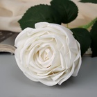 Цветы искусственные "Роза леди каскад, с шипами" 57х8 см, белый - фото 809177941