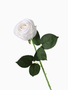 Цветы искусственные "Роза леди каскад, с шипами" 57х8 см, белый - фото 809177943