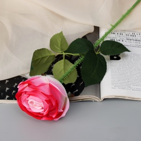 Цветы искусственные «Роза леди каскад, с шипами», 57×8 см, бело-розовые