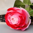 Цветы искусственные "Роза леди каскад, с шипами" 57х8 см, бело-розовый - фото 809177944