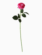 Цветы искусственные "Роза леди каскад, с шипами" 57х8 см, бело-розовый - фото 809177945