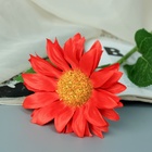 Цветы искусственные "Гербера шёлк галант" 45х9 см, красный - фото 809122602