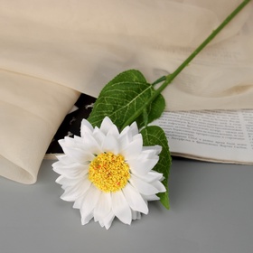 Цветы искусственные «Гербера шёлк галант», 45×9 см, белые