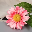 Цветы искусственные "Гербера шёлк галант" 45х9 см, розовый - фото 809122605