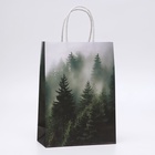 Пакет подарочный крафтовый «Туманный лес» 18×8×25 см, 120 г/м² - Фото 1