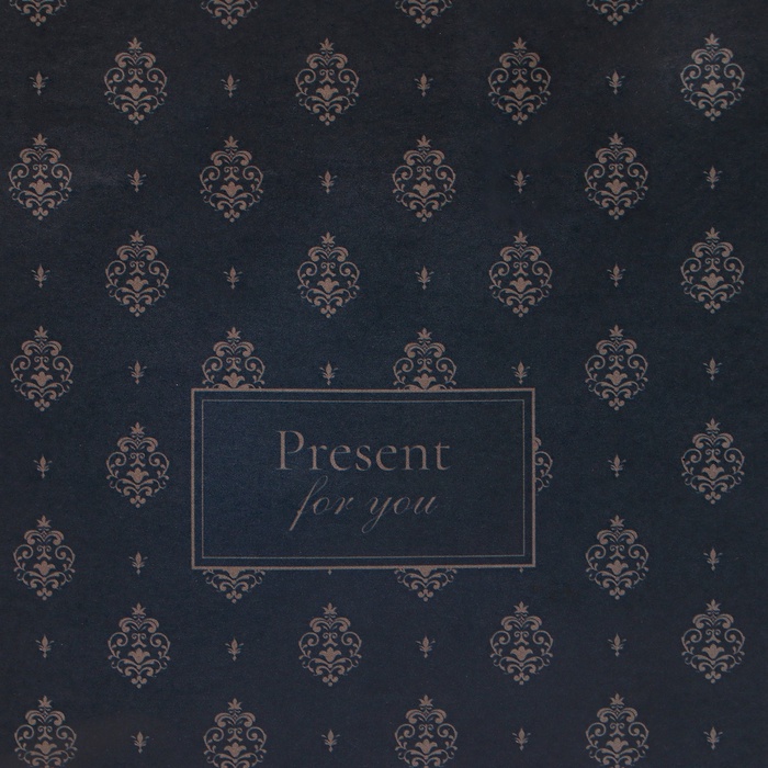 Пакет подарочный крафтовый "Present for you" 15 х 12 х 6 см, 120  г/м²