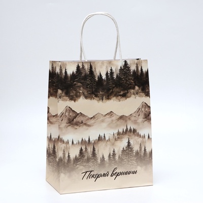 Пакет подарочный крафтовый «Покоряй вершины» 27×22×11 см, 120 г/м²