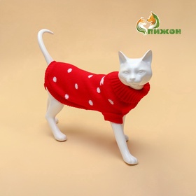 Свитер для животных «Горошек», размер 8 (ДС 20-23, ОГ 25-32, ОШ 16-19 см), красный