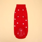 Свитер для животных «Горошек», размер 16 (ДС 35-39, ОГ 38-50, ОШ 24-28 см), красный - Фото 2