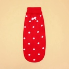 Свитер для животных «Горошек», размер 16 (ДС 35-39, ОГ 38-50, ОШ 24-28 см), красный - Фото 4