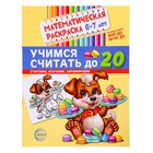 Раскраска математическая «Учимся считать до 20», 6-7 лет, чёрно-белая, ФОП ДО и ФГОС ДО - фото 112926039