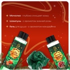 Новогодний подарочный набор косметики «Волшебница зима» для душа и ванны. Зеленая серия - Фото 2