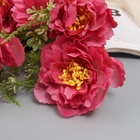 Букет искусственный «Пион шифон галант», h=33 см, МИКС - Фото 2