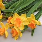 Букет искусственный «Нарцисс керли», h=42 см, МИКС - Фото 2