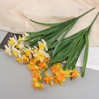 Букет искусственный «Нарцисс керли», h=42 см, МИКС - Фото 3