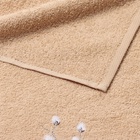 Набор подарочный Willow: полотенце 30×60 см, тёрка 7.7×3.7 см - Фото 5