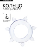 Эрекционное кольцо с усиками, d=2 см, силикон, прозрачный  (артикул 10166252)  большой выбор товаров оптом и в розницу по низким ценам с доставкой