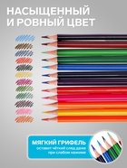 Карандаши 12 цветов, треугольные, деревянные «Морские обитатели», в металлическом тубусе, МИКС - Фото 5
