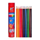 Карандаши 12 цветов, треугольные, деревянные «Морские обитатели», в металлическом тубусе, МИКС - Фото 3