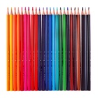 Карандаши 24 цвета, треугольные, деревянные «Морские обитатели», в металлическом тубусе, МИКС - Фото 3