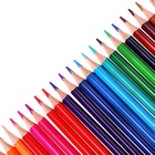 Карандаши 24 цвета, треугольные, деревянные «Морские обитатели», в металлическом тубусе, МИКС - Фото 4