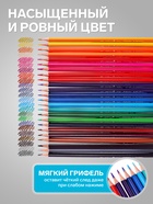 Карандаши 24 цвета, треугольные, деревянные «Морские обитатели», в металлическом тубусе, МИКС - Фото 4