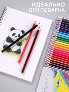 Карандаши 24 цвета, треугольные, деревянные «Пейзаж», в металлическом пенале, МИКС - Фото 2