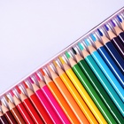 Карандаши 24 цвета, треугольные, деревянные «Пейзаж», в металлическом пенале, МИКС - Фото 5