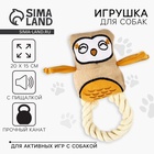 Игрушка для собак с канатом «Сова», 20 х 15 см, бежевый 10554362 - фото 13859634