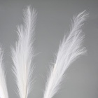 Пампасная искусственная трава высота 1 метр, набор 3 шт., цвет белый - Фото 2