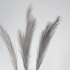 Сухоцветы искусственные «Пампасная трава», 1 метр, 3 шт., серый - Фото 2