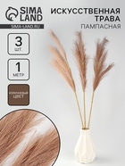 Сухоцветы искусственные «Пампасная трава», 1 метр, 3 шт., коричневый - Фото 1