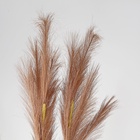 Сухоцветы искусственные «Пампасная трава», 1 метр, 3 шт., коричневый - Фото 2