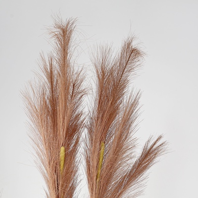 Сухоцветы искусственные «Пампасная трава», 1 метр, 3 шт., коричневый