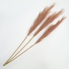 Сухоцветы искусственные «Пампасная трава», 1 метр, 3 шт., коричневый - Фото 3