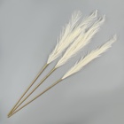 Сухоцветы искусственные «Пампасная трава», 1 метр, 3 шт., молочный - Фото 3