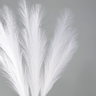 Сухоцветы искусственные «Пампасная трава», 70 см, 3 шт., белый - Фото 2