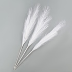 Сухоцветы искусственные «Пампасная трава», 70 см, 3 шт., белый - Фото 3