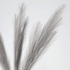Сухоцветы искусственные «Пампасная трава», 70 см, 3 шт., серый - Фото 2
