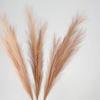 Сухоцветы искусственные «Пампасная трава», 70 см, 3 шт., коричневый - Фото 2