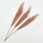 Сухоцветы искусственные «Пампасная трава», 70 см, 3 шт., коричневый - Фото 3