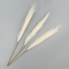 Сухоцветы искусственные «Пампасная трава», 70 см, 3 шт., молочный - Фото 3